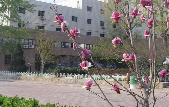 成都市师范学院招生老师QQ及电话