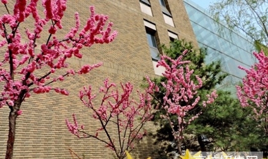 四川省哪些大专学校的数学教育专业好